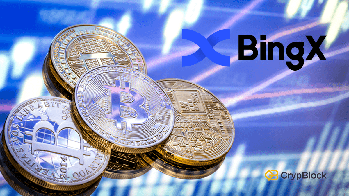 BingX Exchange