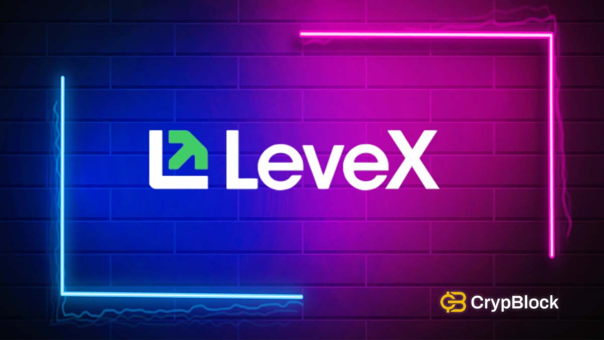 LeveX Exchange Review
