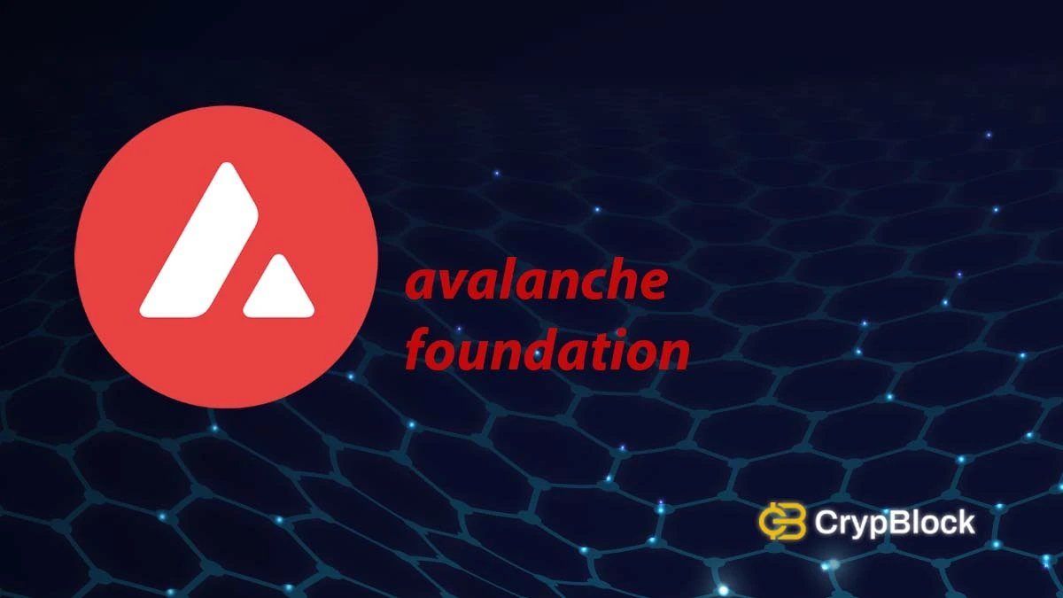 Avalanche foundation