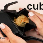 Cubix Crypto Wallet